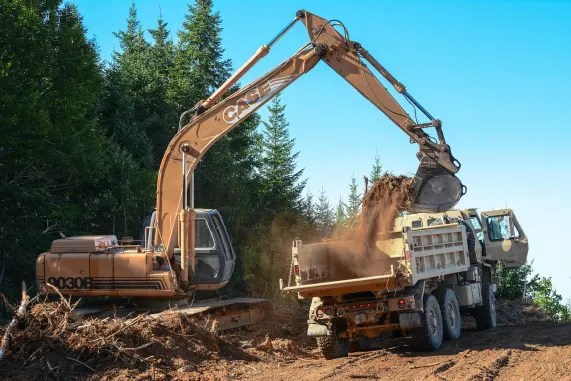 카지노 피자즈 빙고 지원